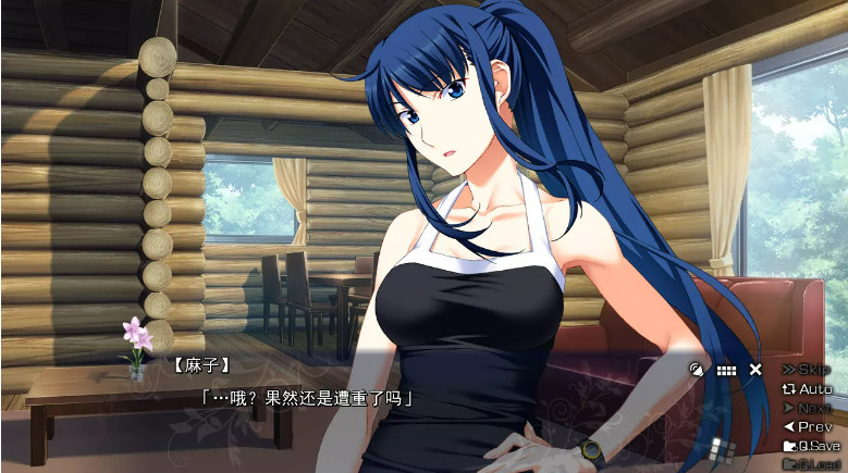 【ADV】灰色的迷宫~灰色的残光 | 单机汉