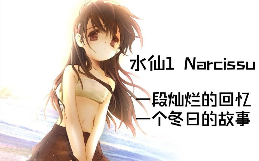 水仙1/Narcissu1