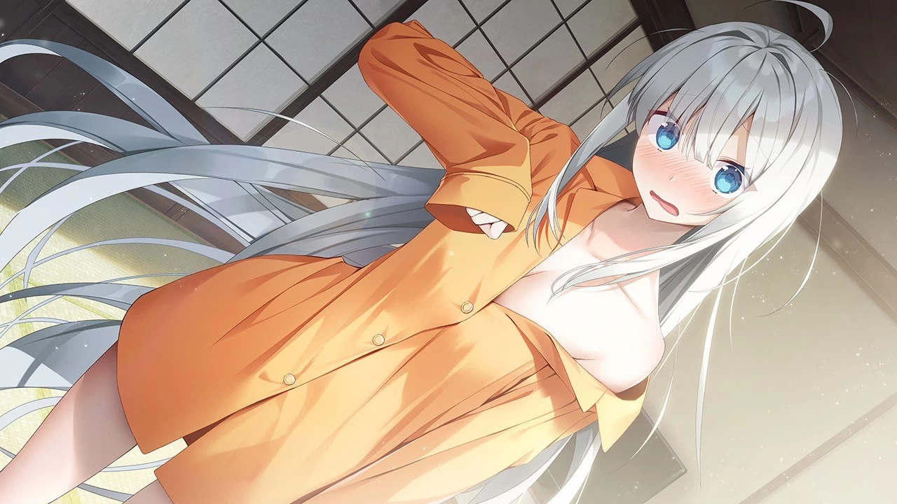 【PC】【GINKA 】V1.06 官方中文 解压即玩 | 单机汉