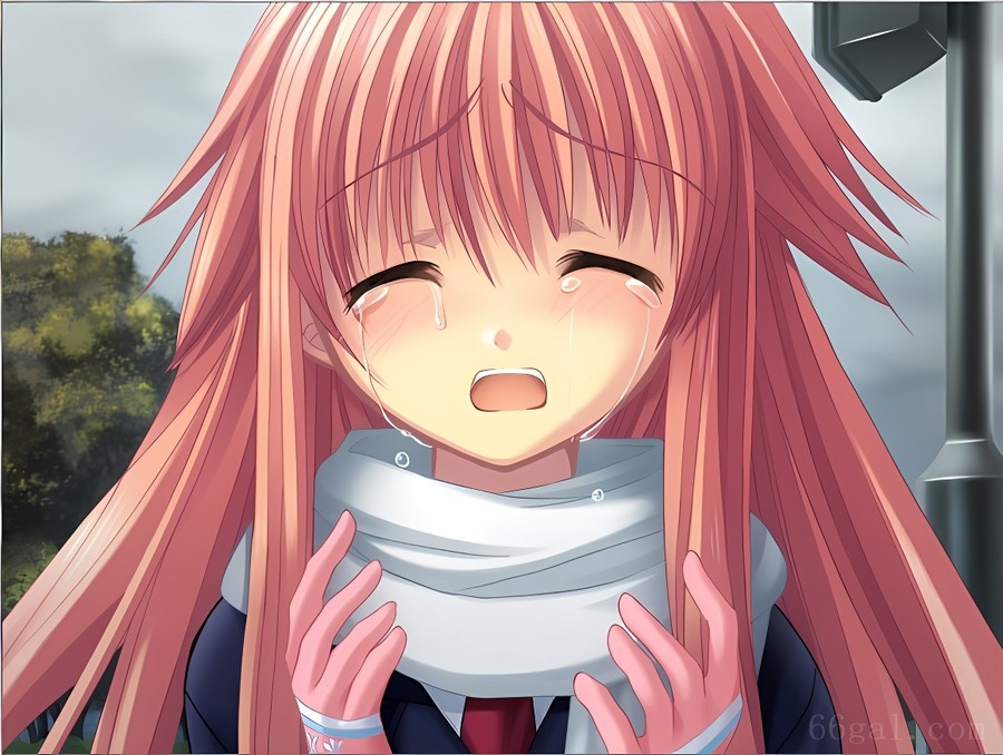 真实之泪「トゥルーティアーズ」